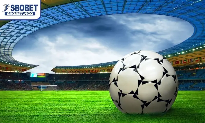 Kinh nghiệm chọn kèo và đọc tỷ lệ chuẩn xác